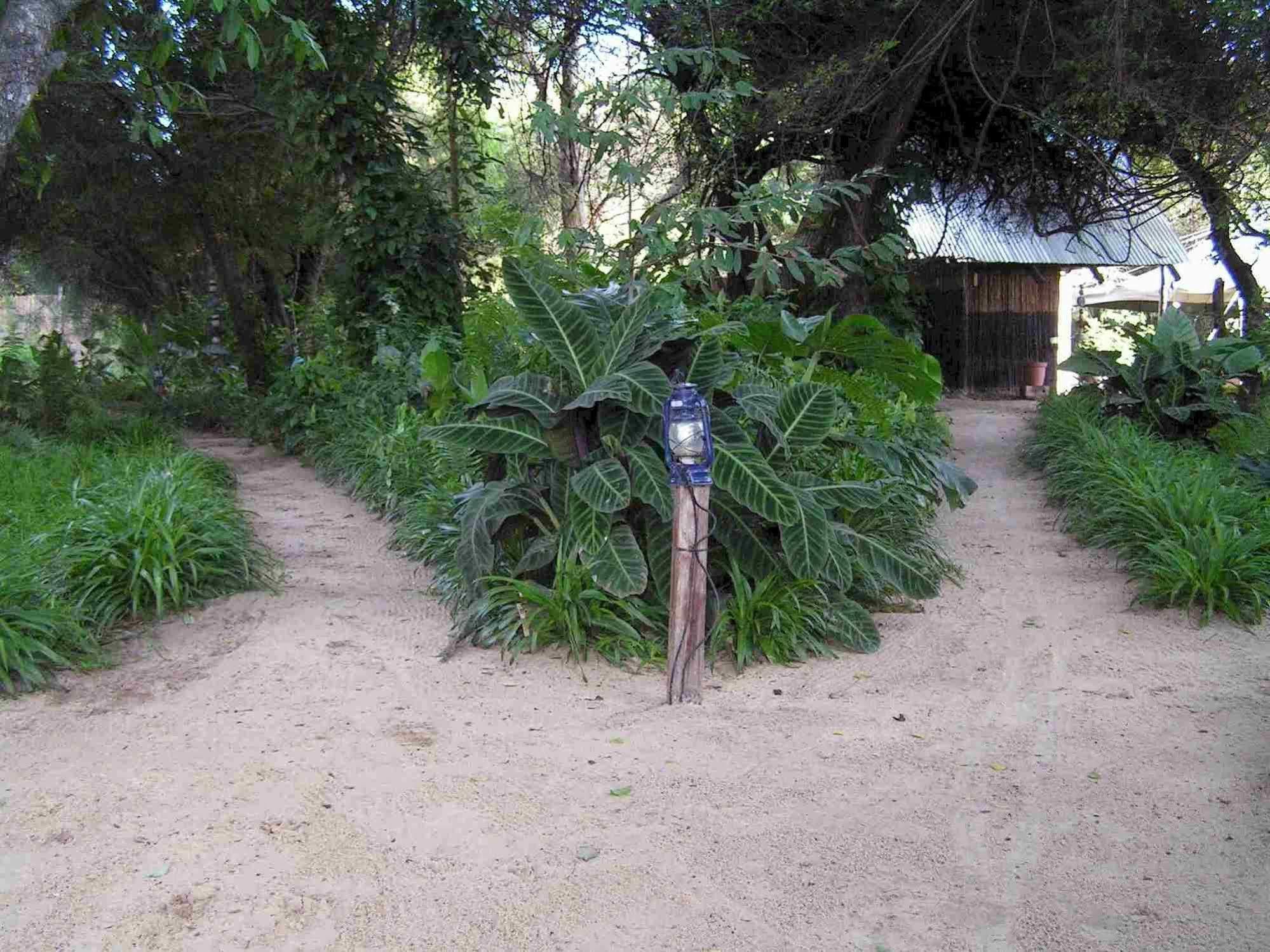 Caprivi Houseboat Safari Lodge Katima Mulilo ภายนอก รูปภาพ